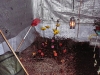 Alli2007_0020.jpg