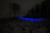 rr_alligatorløbet_20180204030308_1319