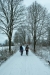 rr_alligatorløbet_20180204092532_2069
